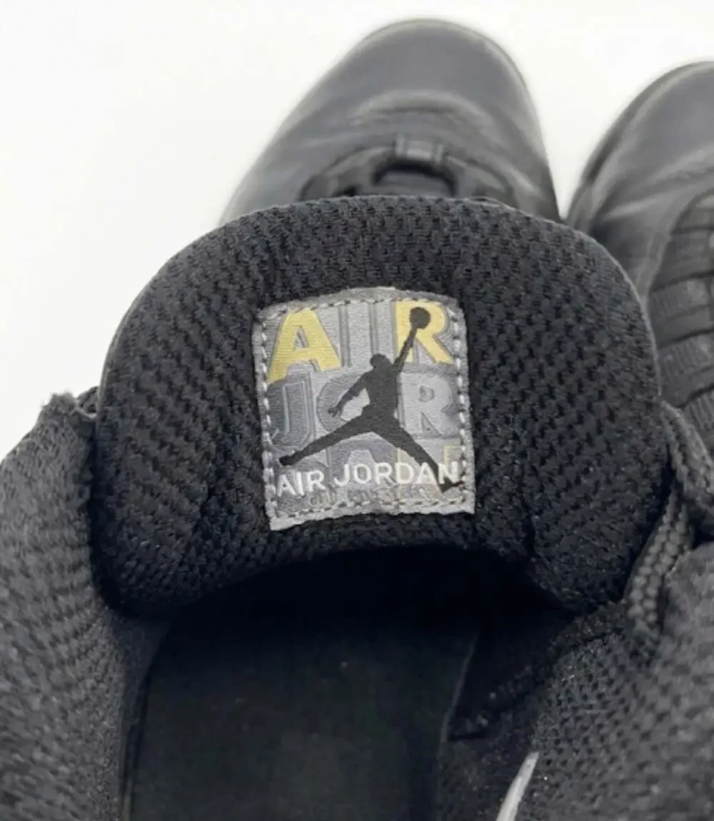 Jordan metallic missing